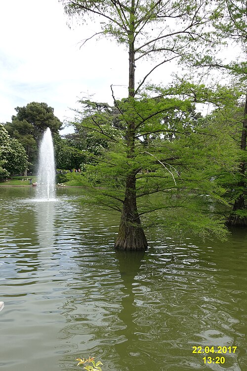 Retiro Park의 실제 풍경